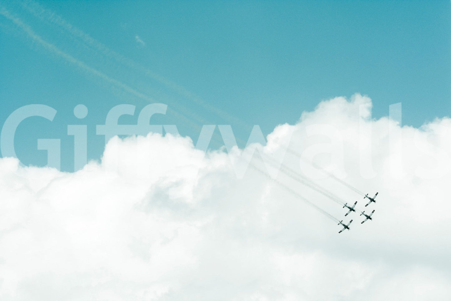 Aerial Show III Wall Mural