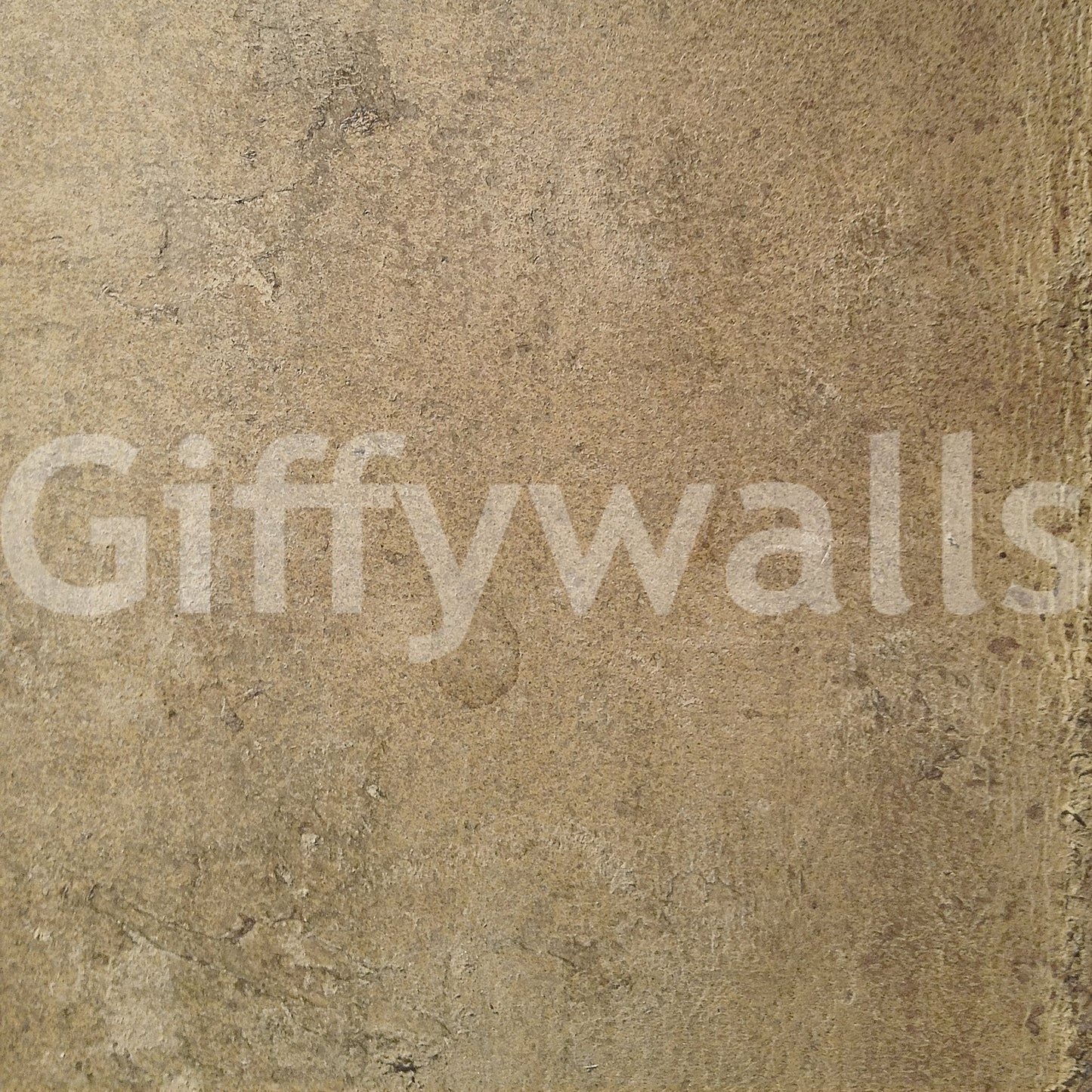 A high-quality minimalist wall mural for walls.