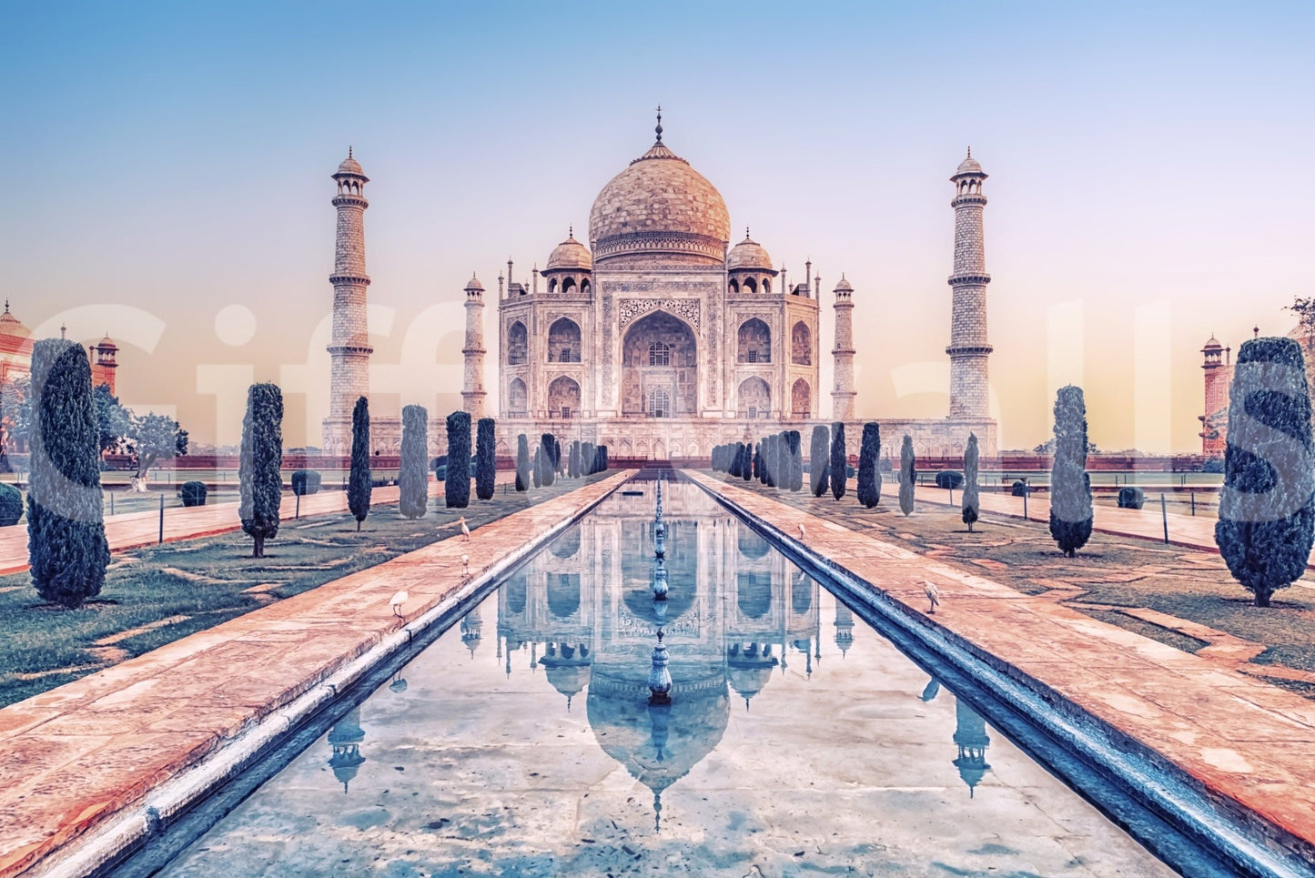Agra's Jewel wall mural showing monument reflection with long water pathway