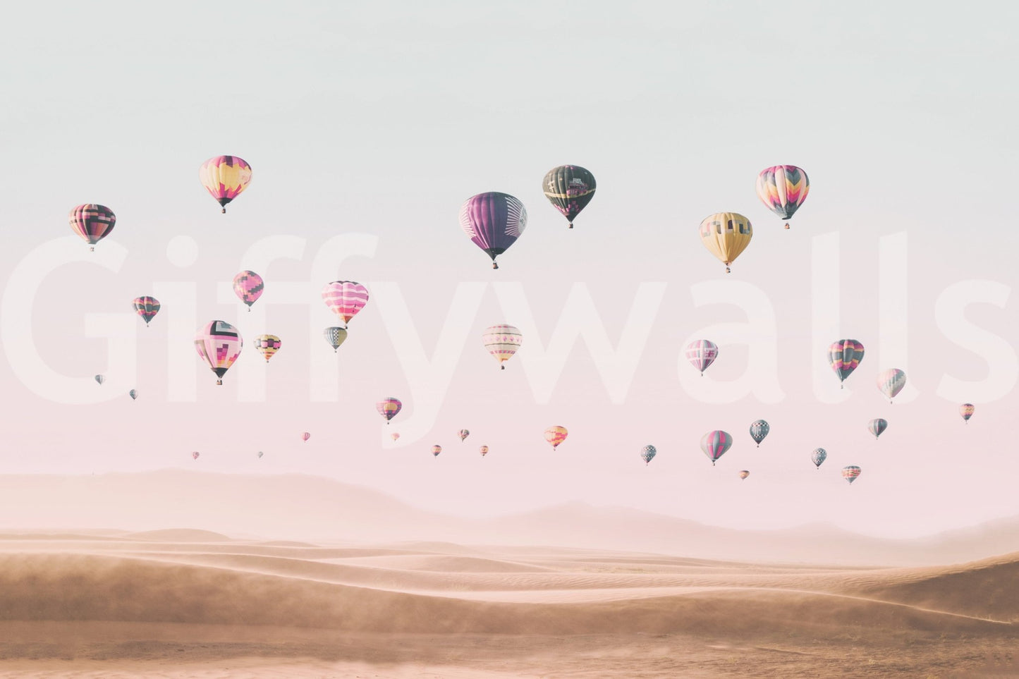 Hot air balloons dreamy horizon