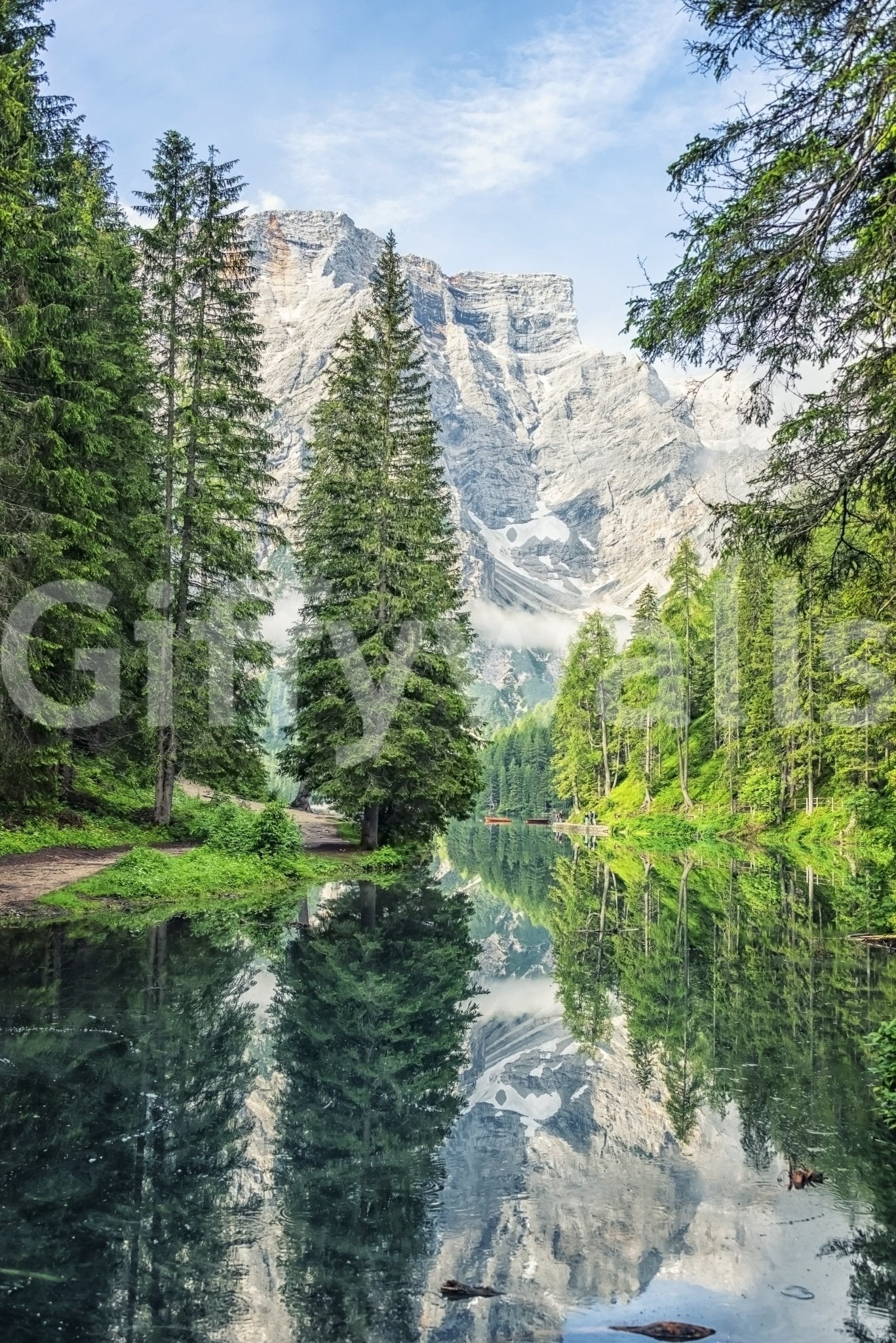 Alpine Lake Reflection Wall Mural