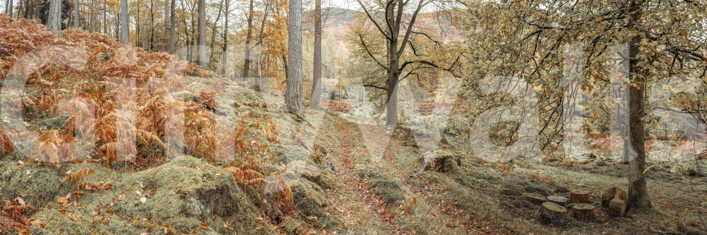 The composition is dynamic and full of depth.