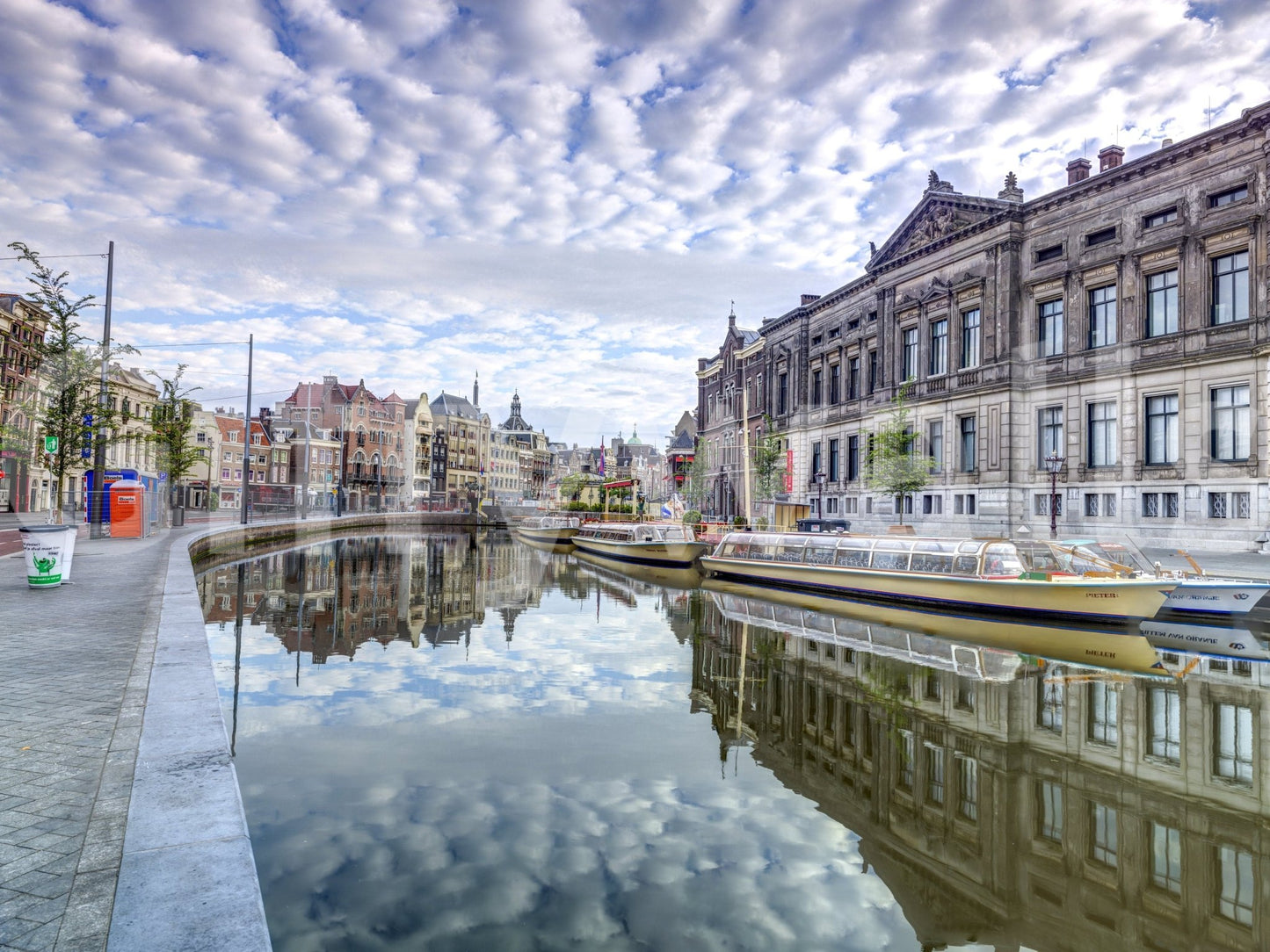 Large scale travel themed wall mural for a nature inspired home styling project.