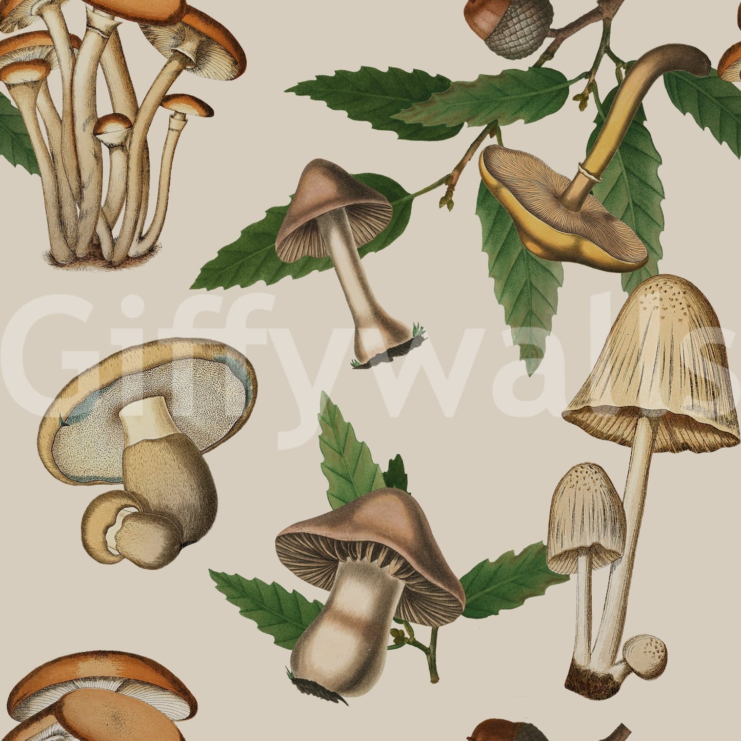 Woodland sketch layout in Ancient Forest Mushrooms wallpaper