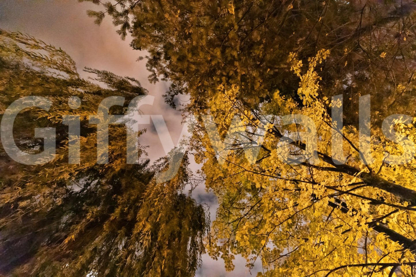 The Autumn Canopy mural gives the room a unique and serene feel.