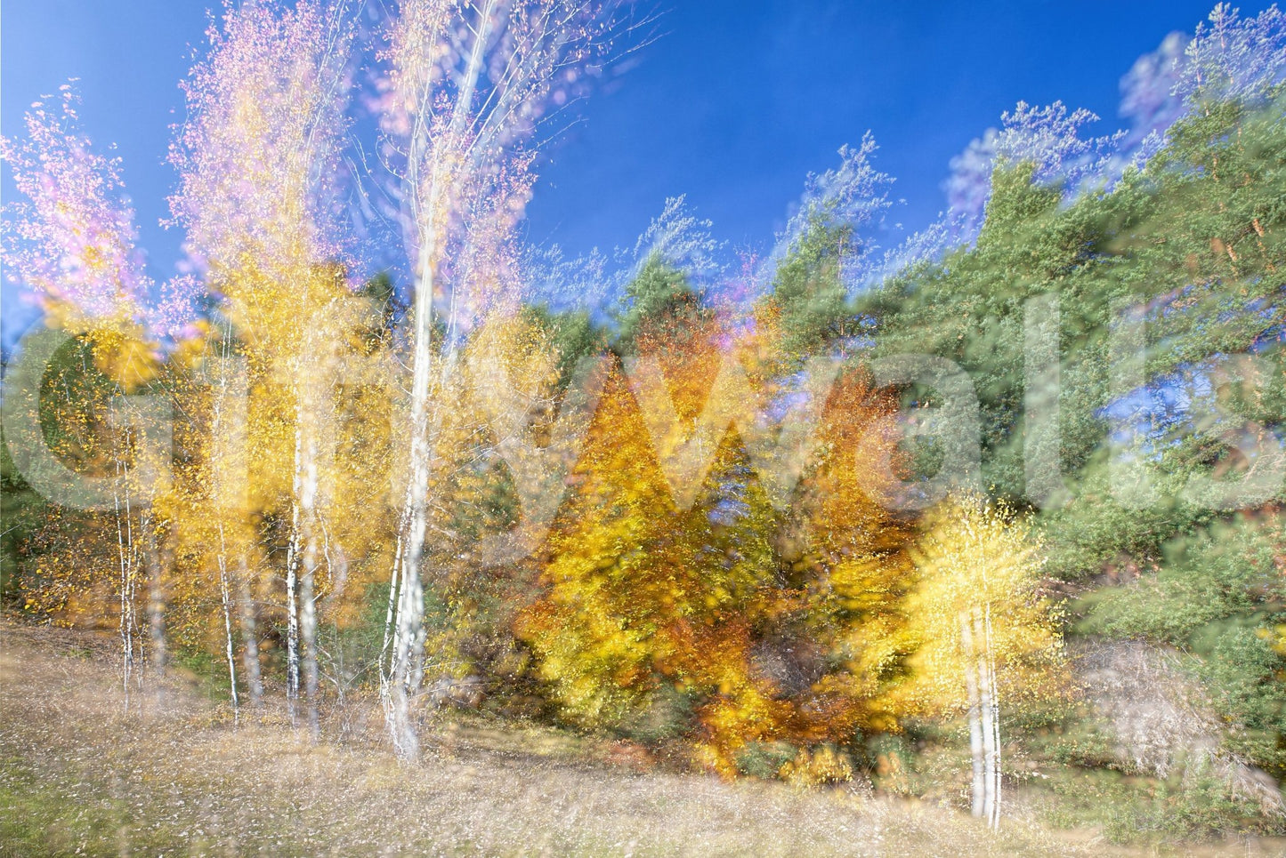 Captures the essence of an autumn forest in lively, artistic motion.