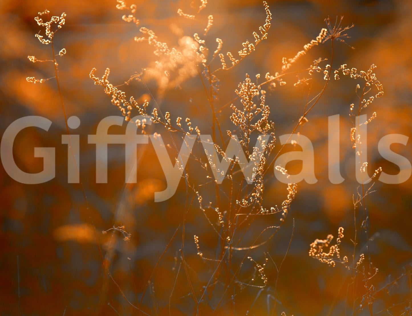 Horizontal format for an expansive view.