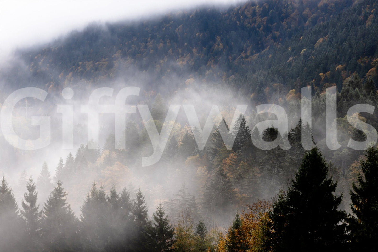 Autumn Haze Wall Mural