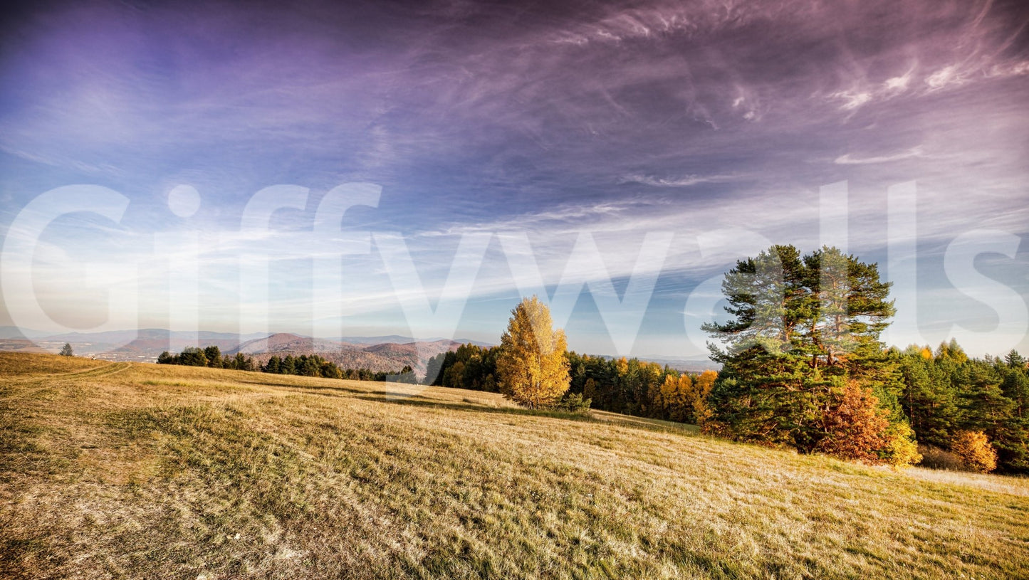 Captures the essence of a peaceful autumn meadow.