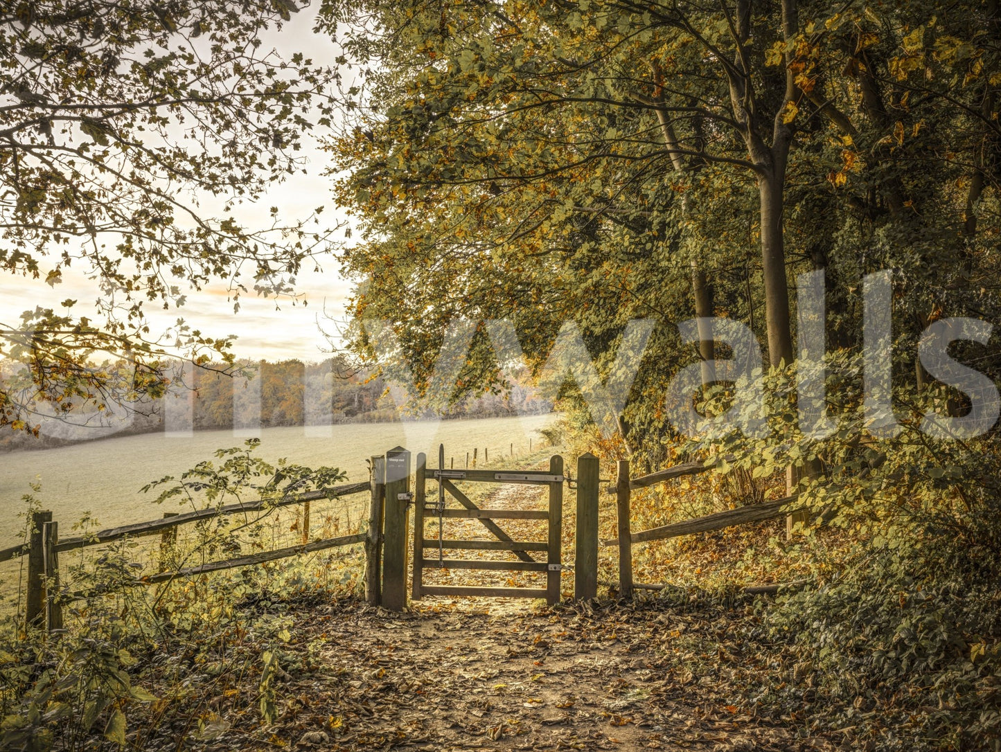 Wall decor evoking the magic of fall.