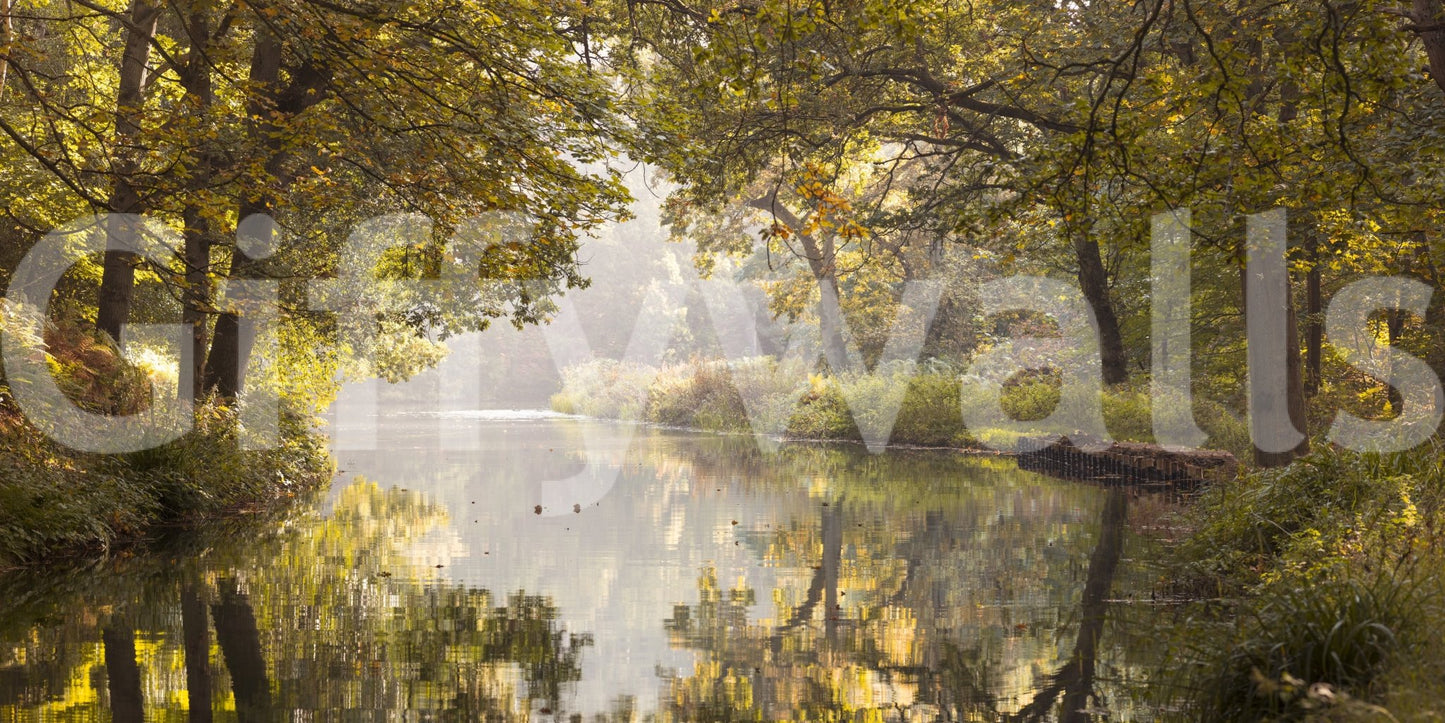 The image feels peaceful and restful.