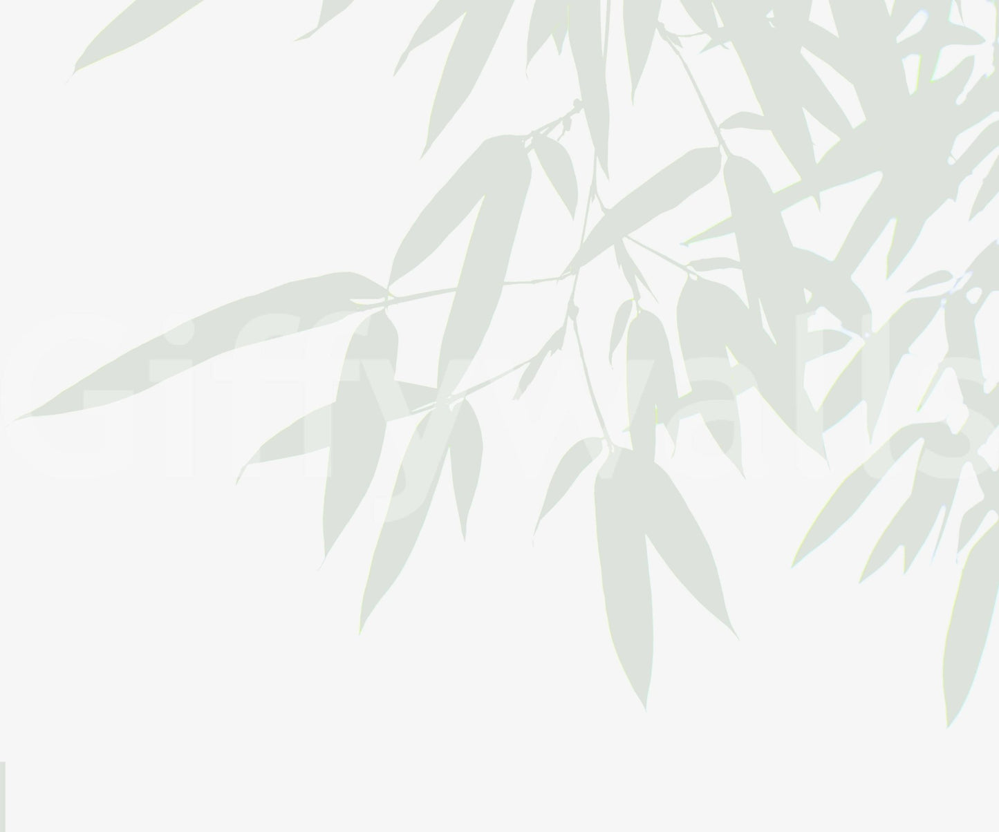 Bamboo Leaf wallpaper for walls creating a soft, ethereal ambiance.