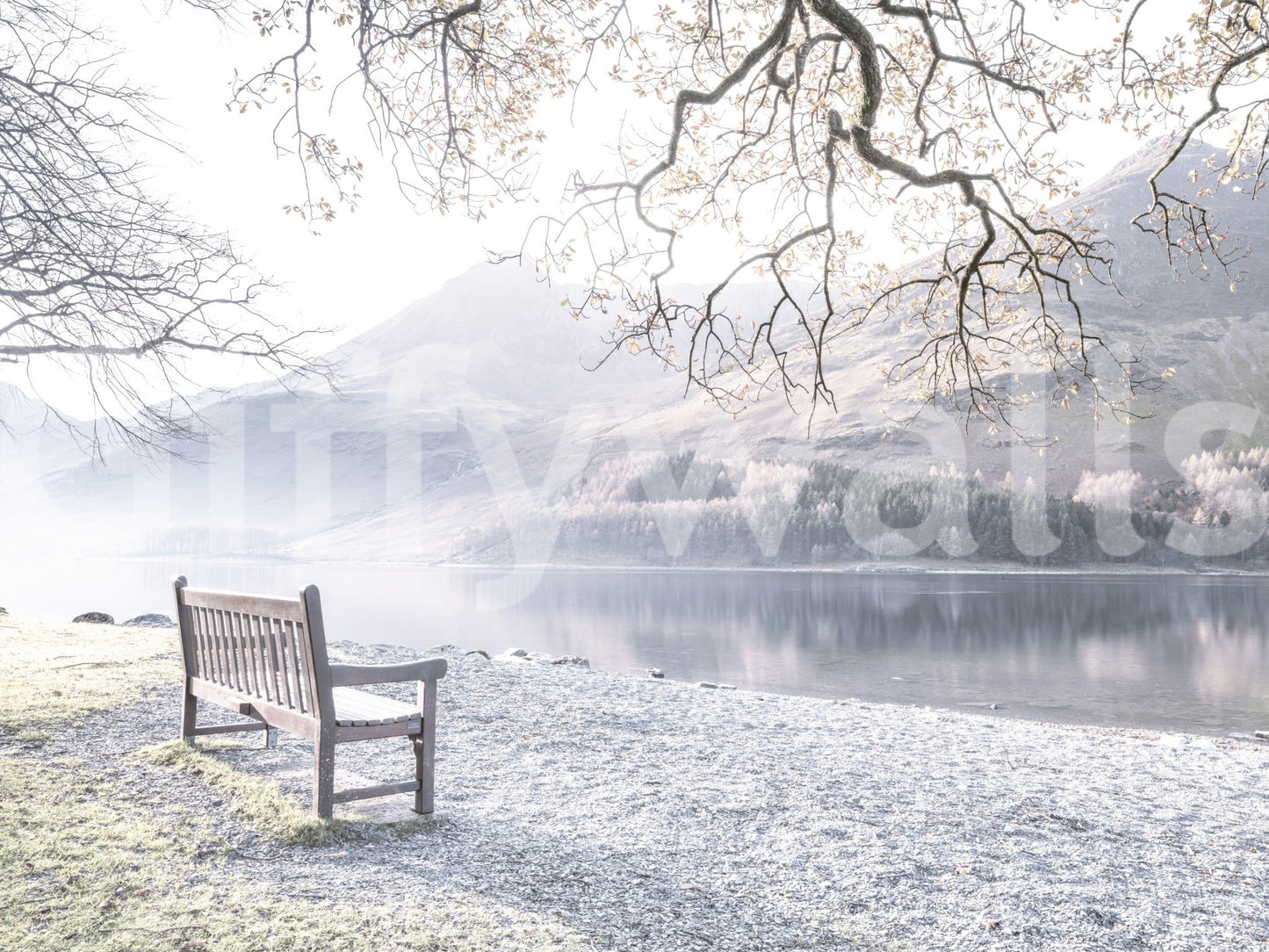 Bench and still lake create a peaceful mural view.