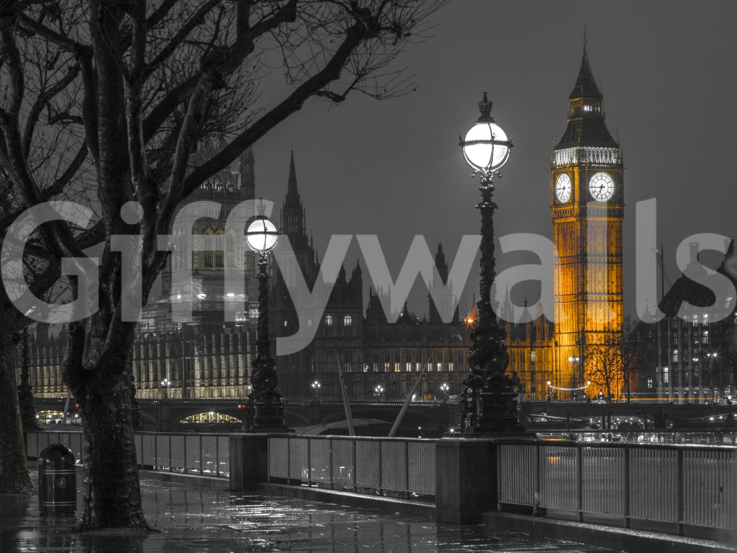 The image feels bold and elegant.