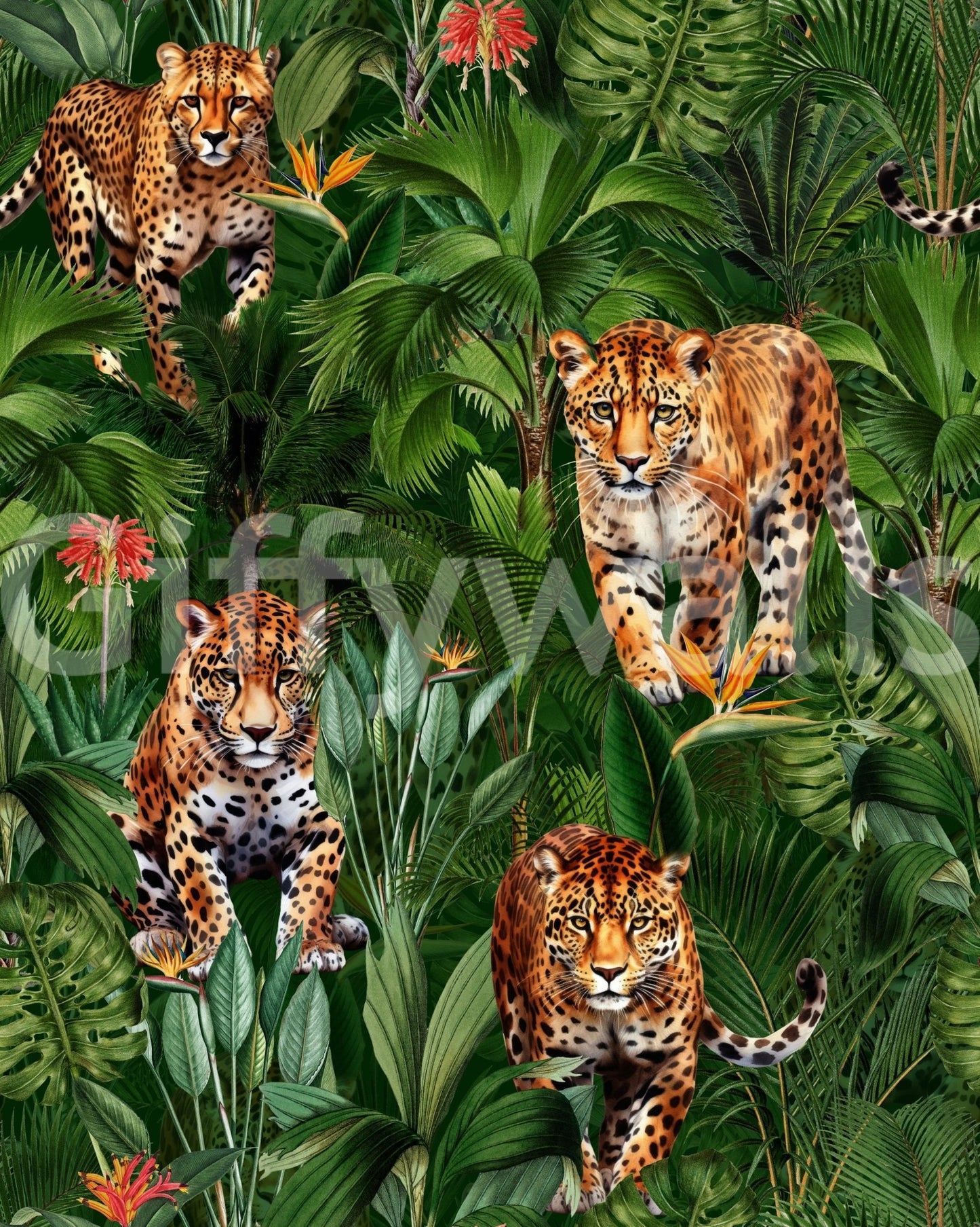 Big Cats of the Jungle Wallpaper