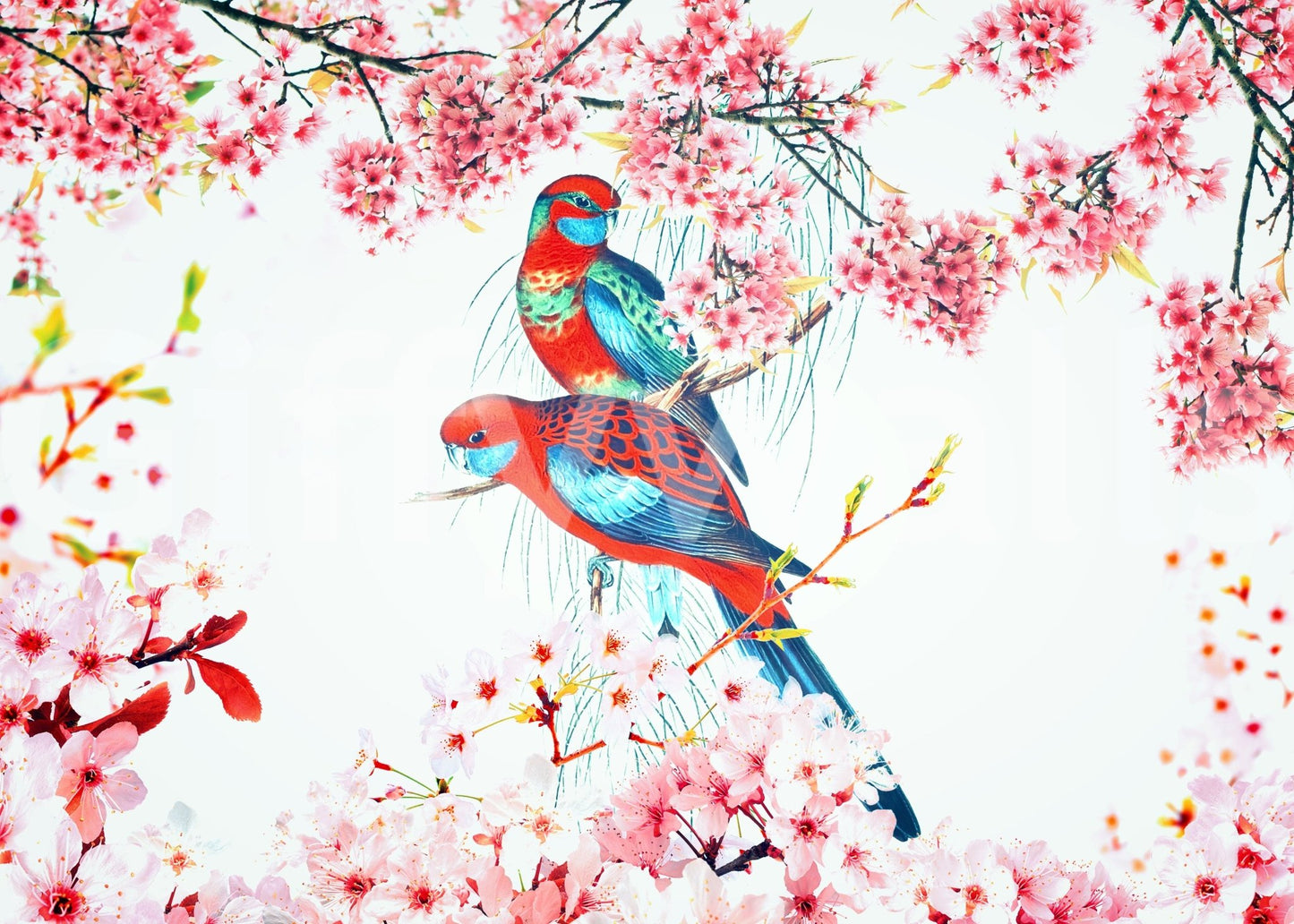 Blossom Birds Wall Mural wallpaper for a calm study room., GD8041