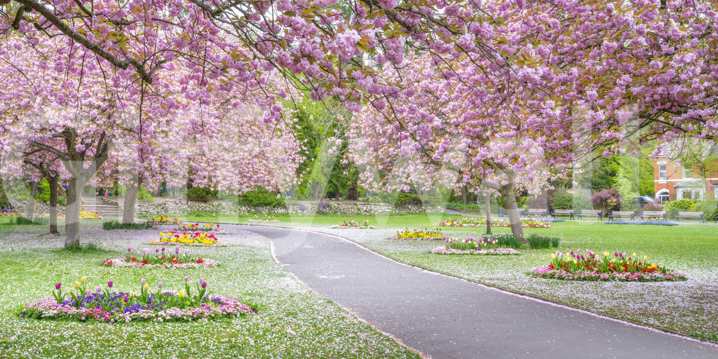 Blossom Park Wall Mural