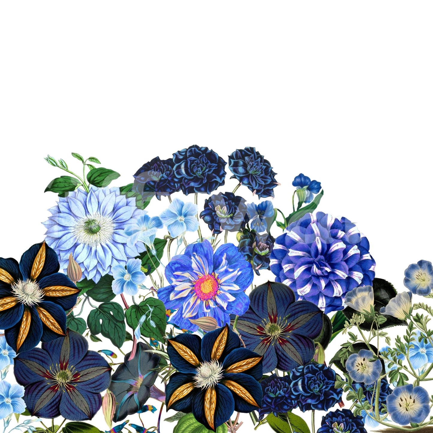 The image feels peaceful and restful.