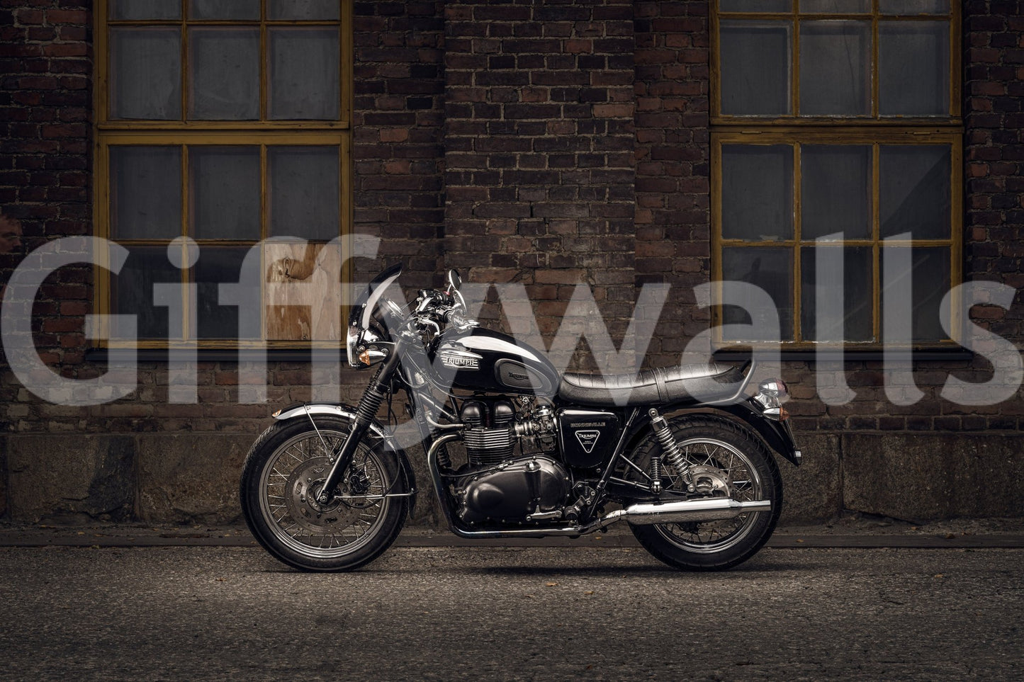 A high-quality abstract print wall mural for walls.