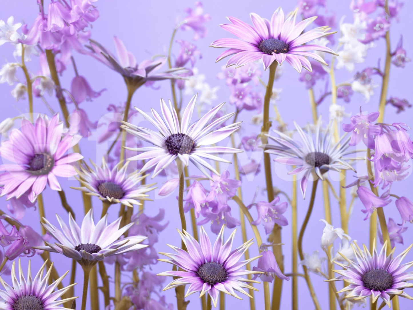 Botanical Reverie Wall Mural