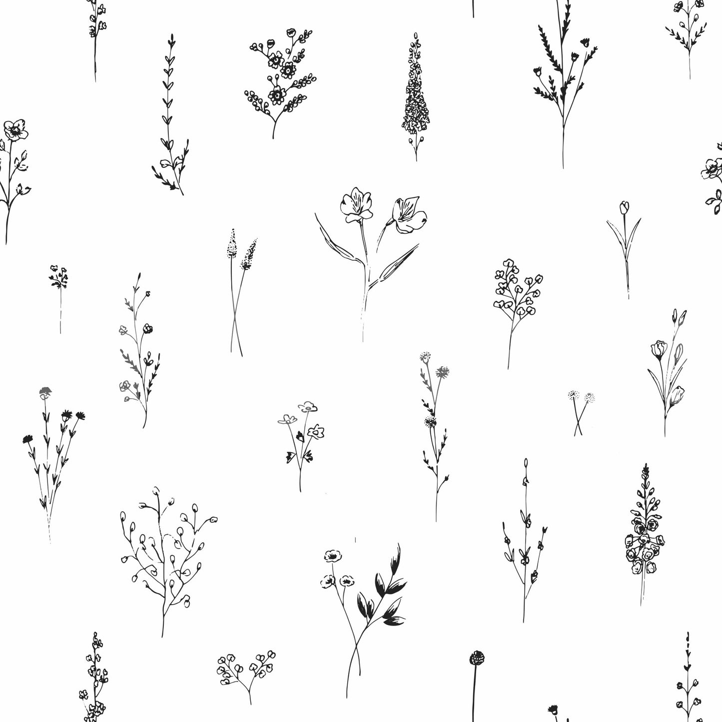Tender Stem Black-White Wallpaper Botanical Sketch Wallpaper