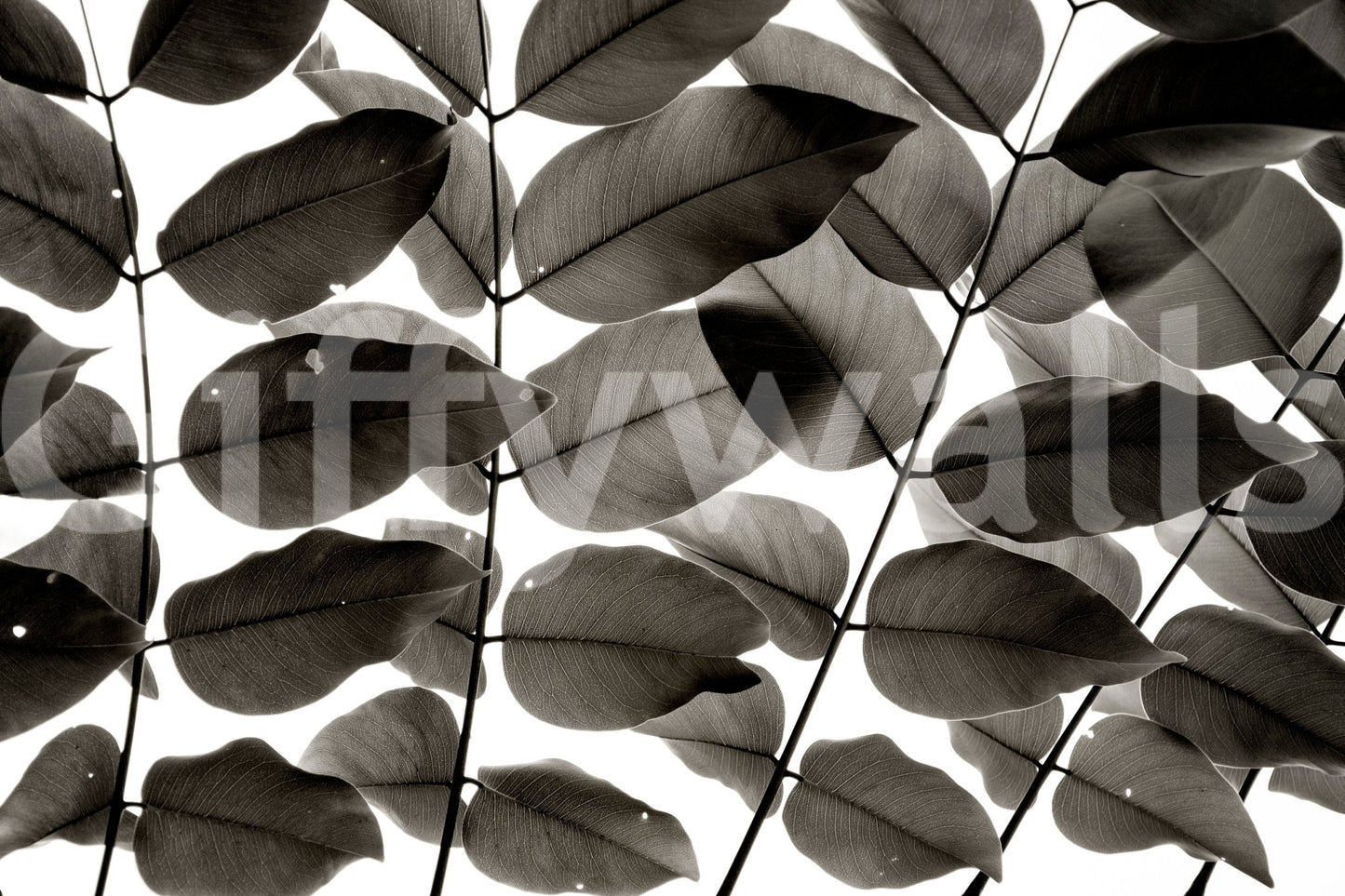 Branches and Leaves I Wall Mural