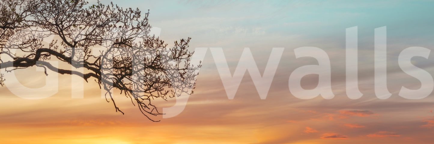 Minimalist mural wallpaper with natural elements