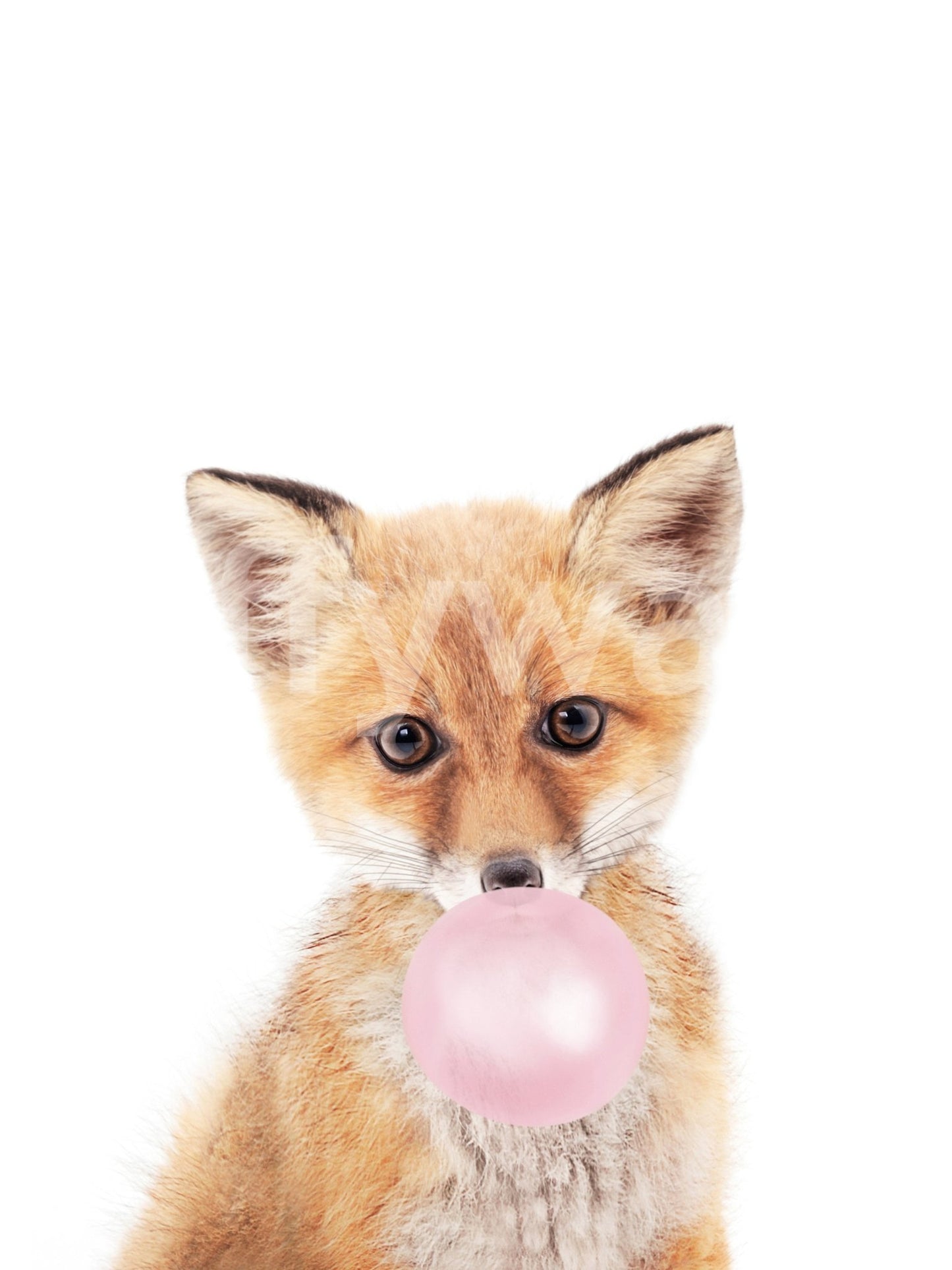 Charming fox wall mural for kids’ room makeover