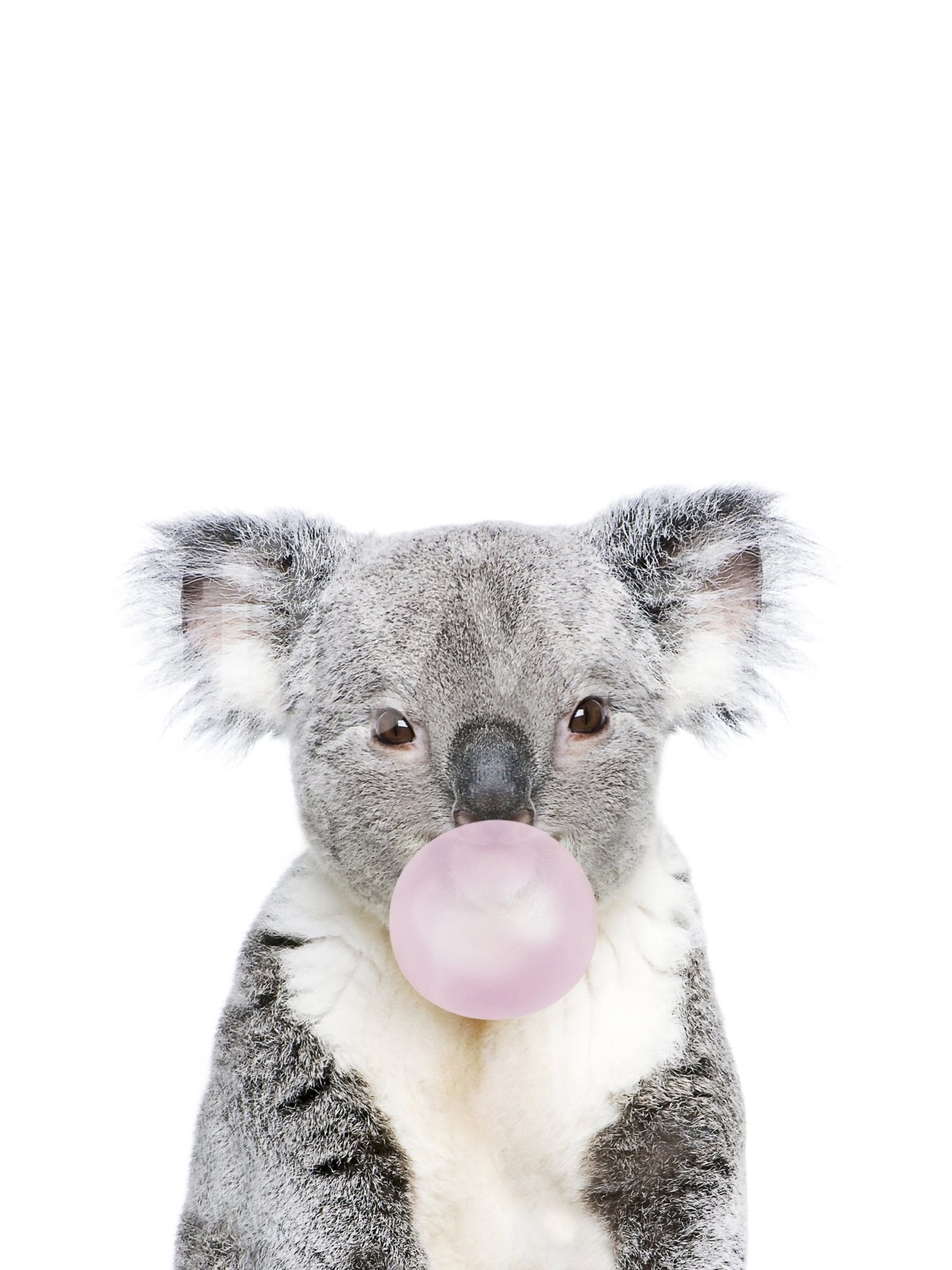 Koala blowing bubble gum mural for a joyful room ambiance.