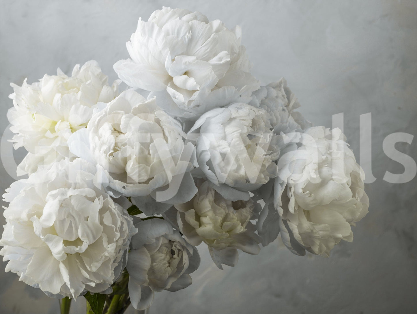 White flower mural for peaceful decor