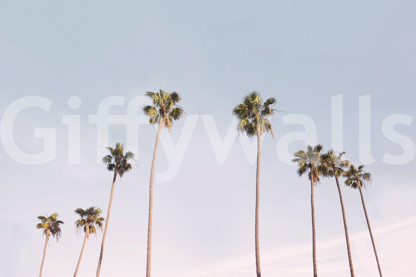 Coastal California landscape mural for modern interiors.