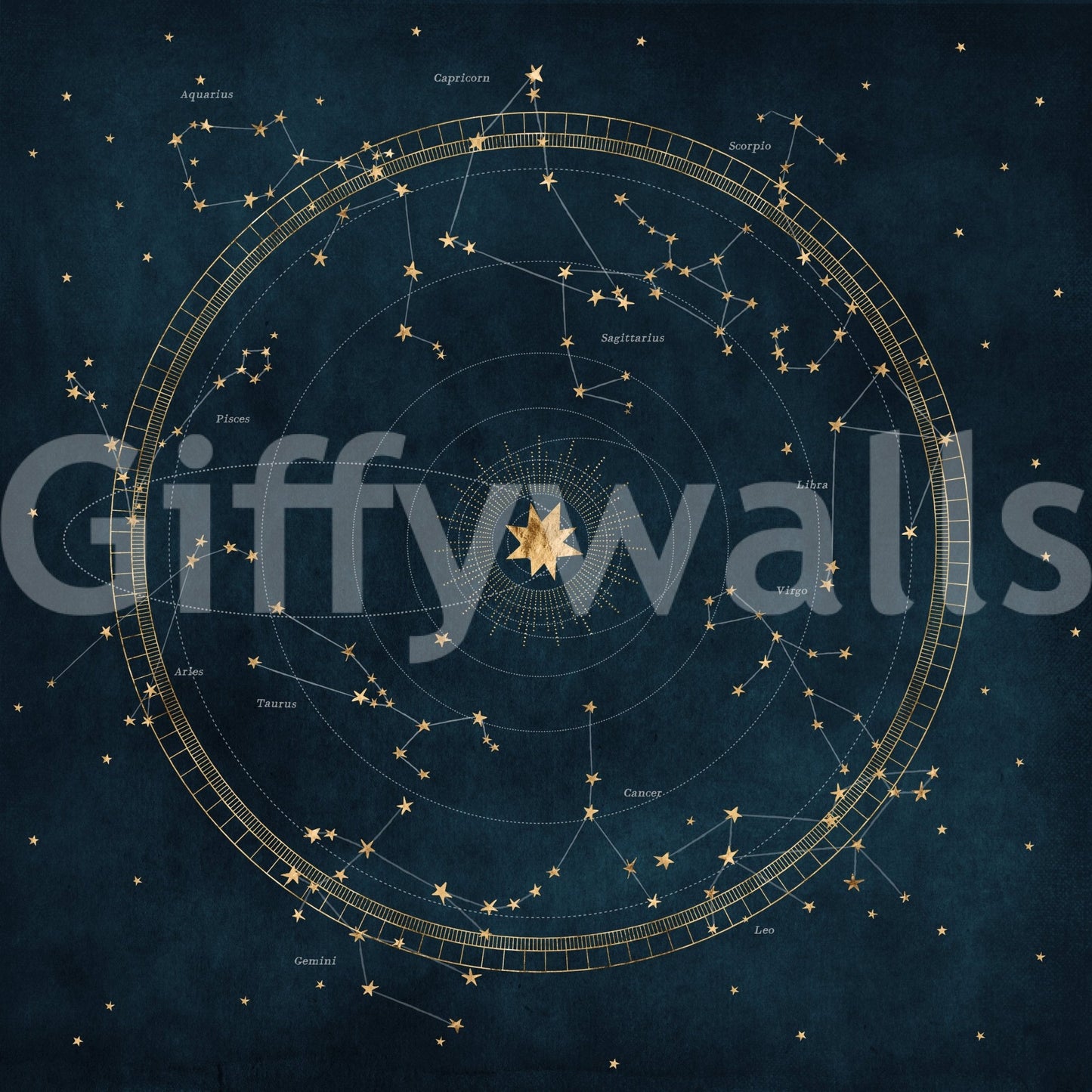 Celestial Star Chart Wall Mural