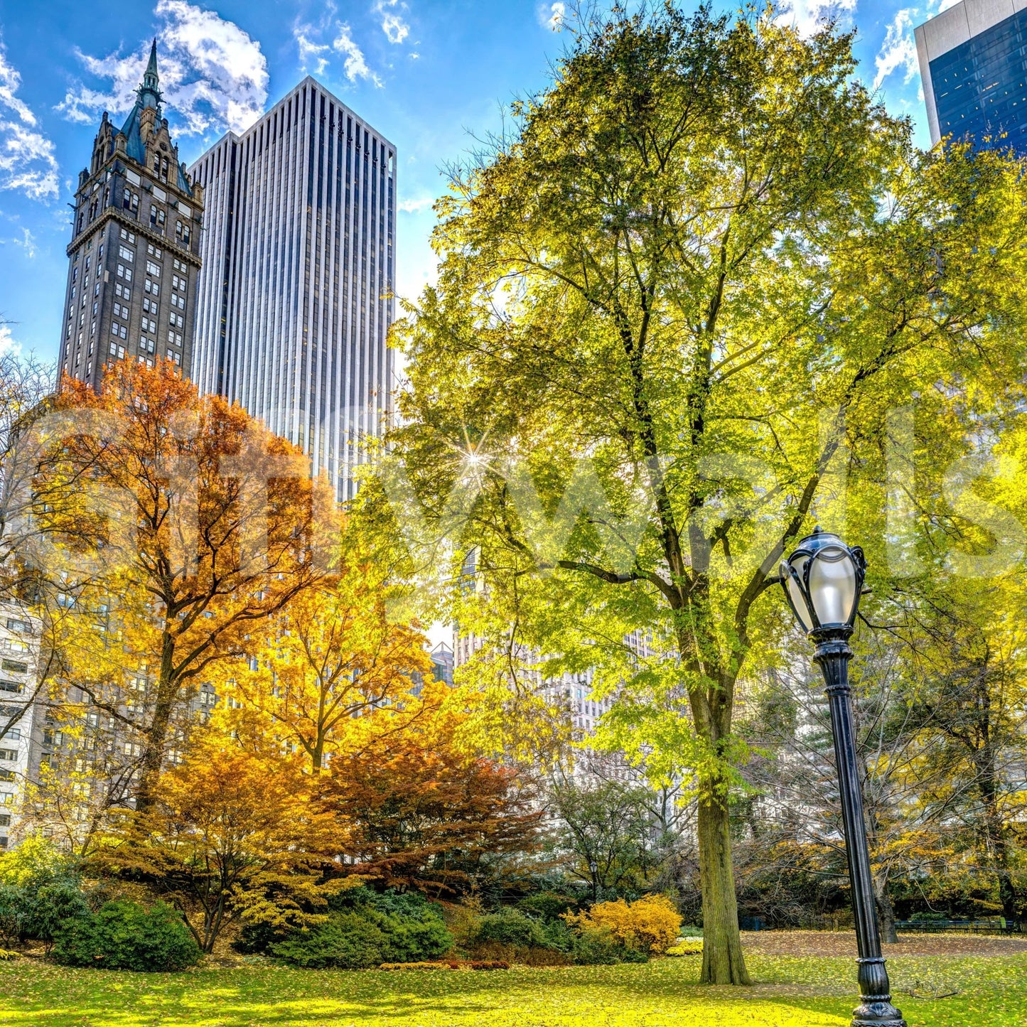 Central Park in Fall Colors Wall Mural
