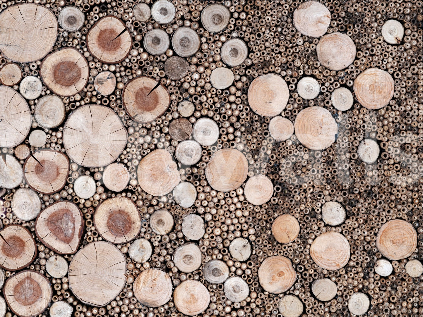 Circular Wood Array Wall Mural