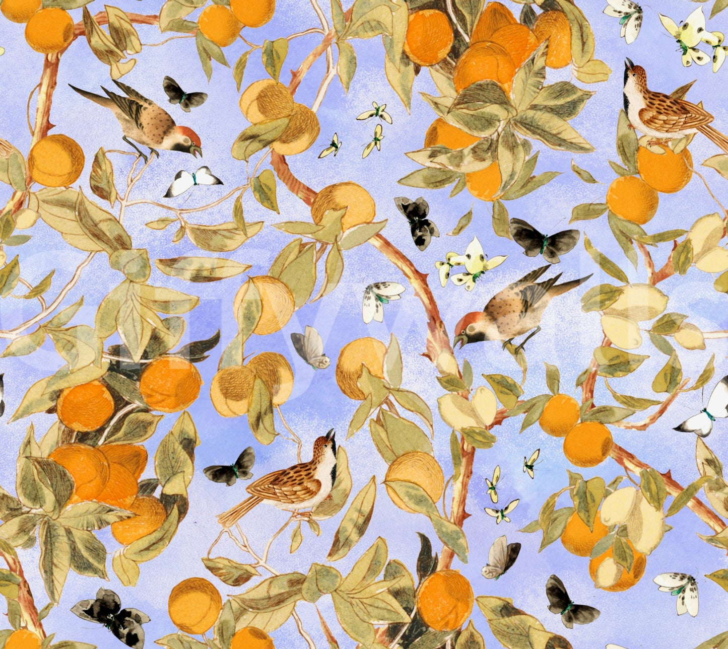 Vibrant and colorful citrus wallpaper for any room