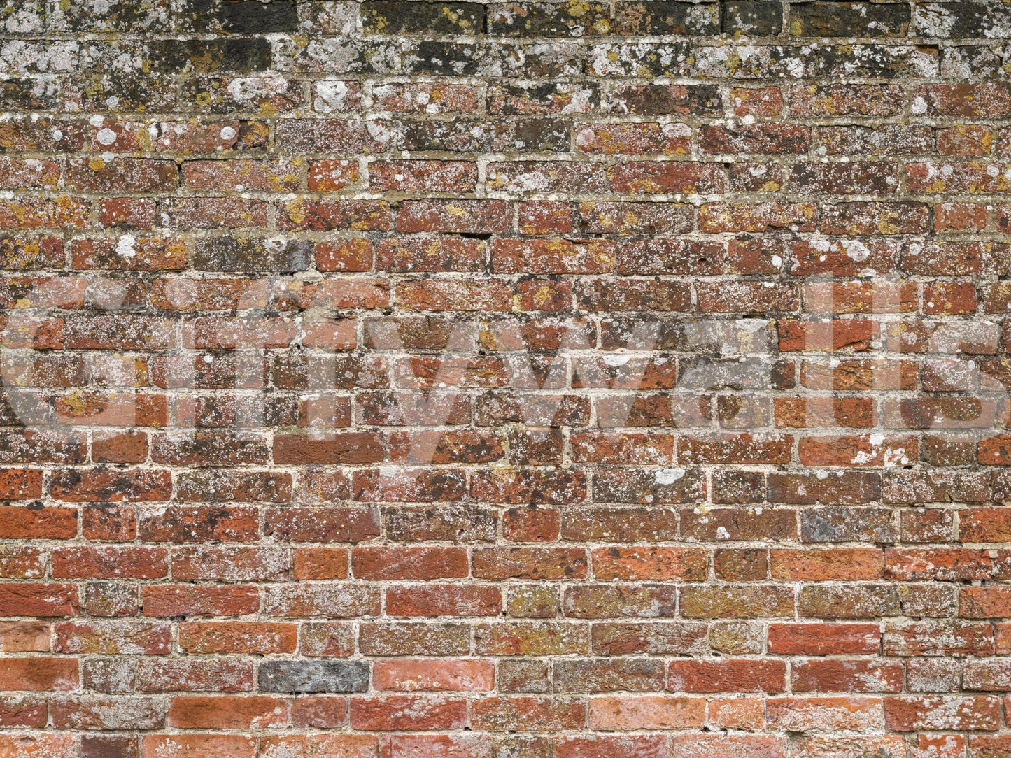 A high-quality rustic brick wall mural for walls., GD5135