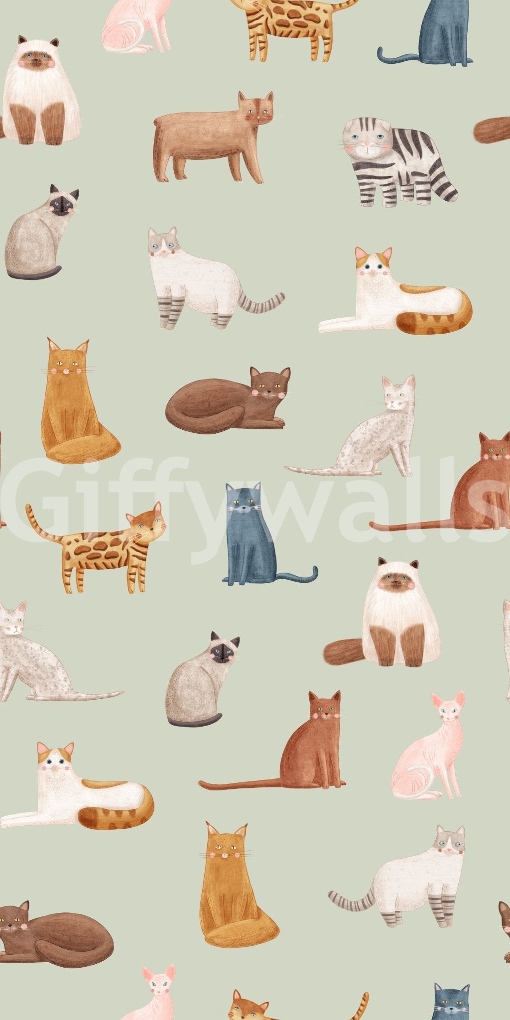 Cool Cats in Sage Green Wallpaper