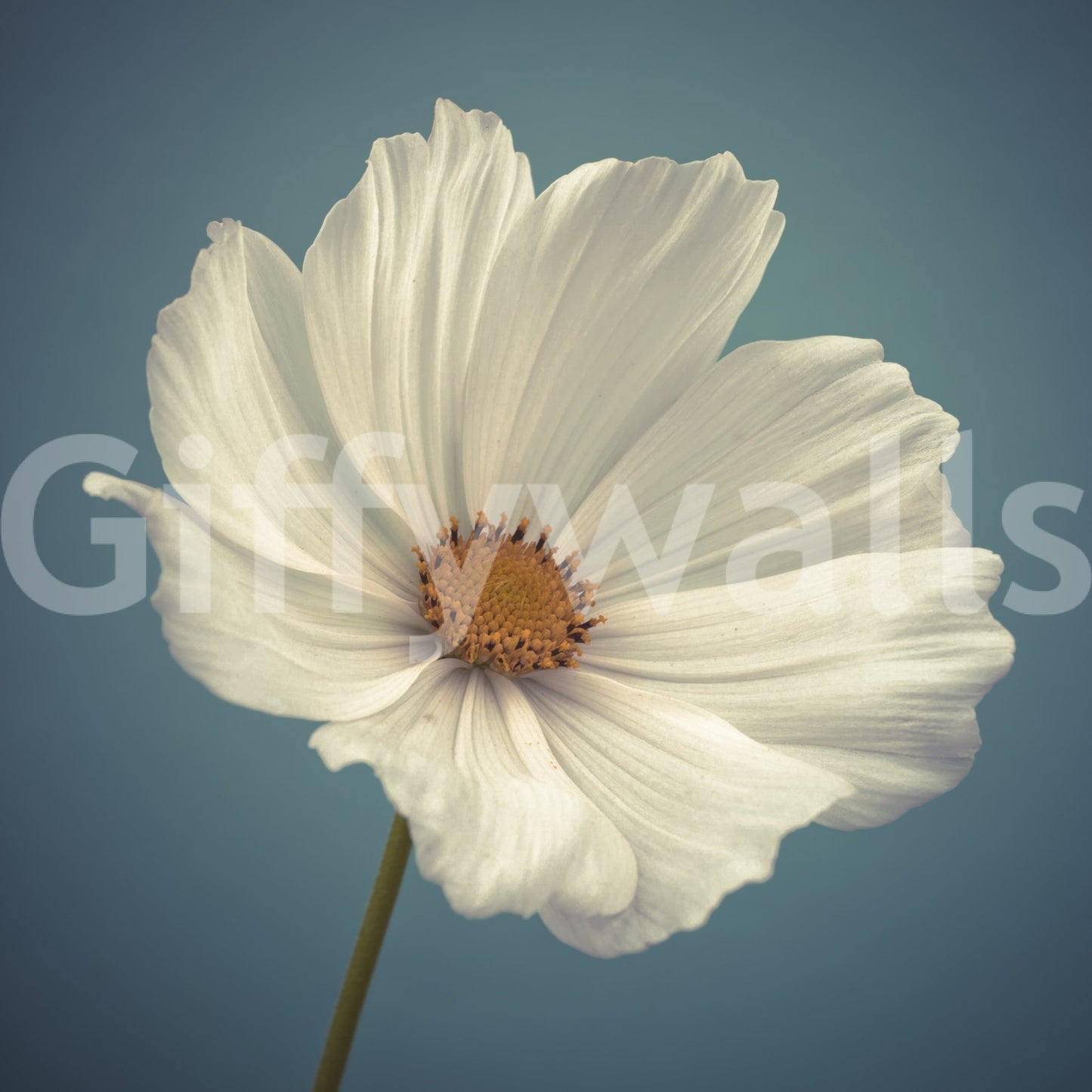 A peaceful floral mural perfect for nature-inspired interiors