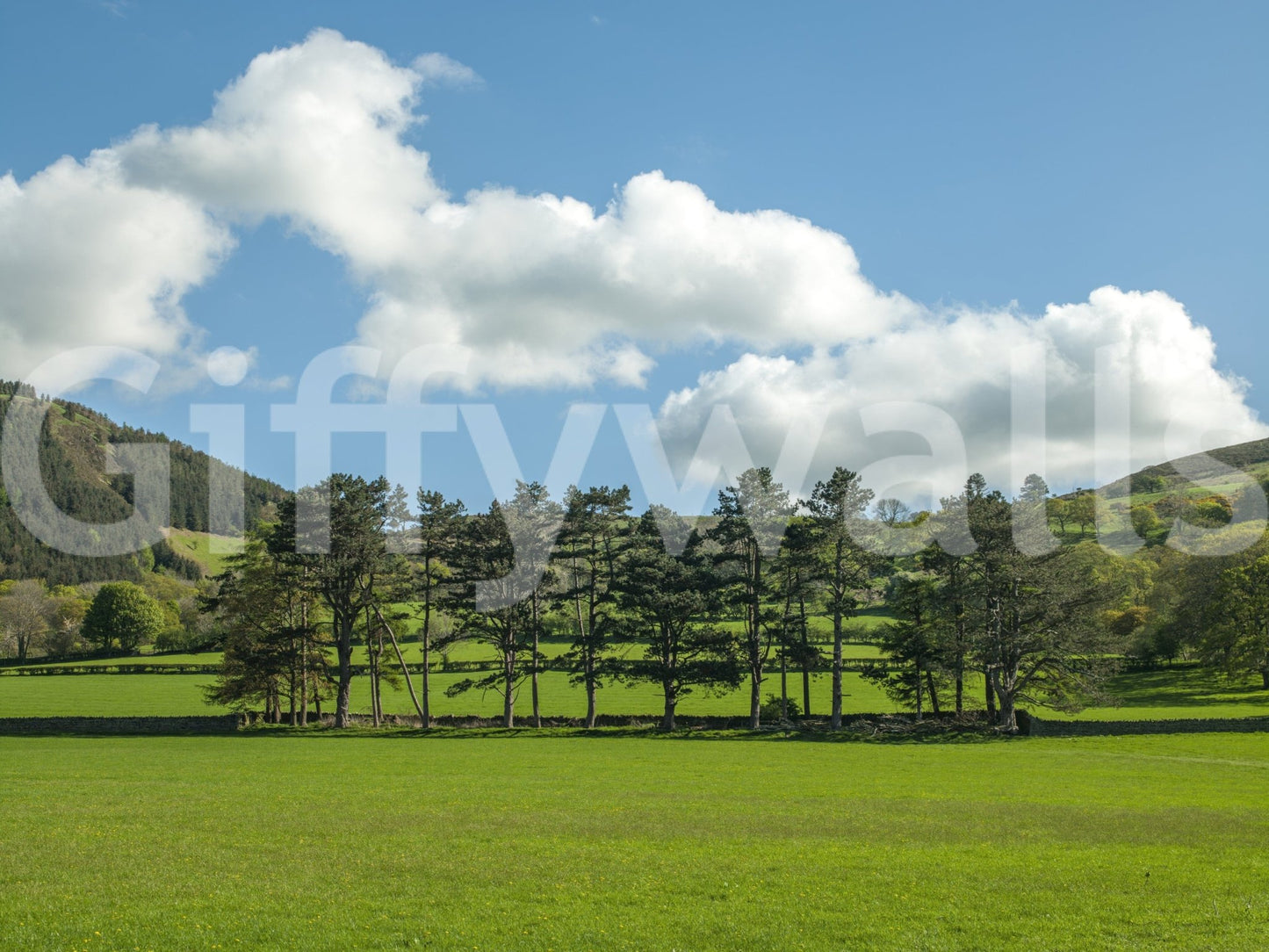 Green landscape wallpaper for a serene reading nook area.