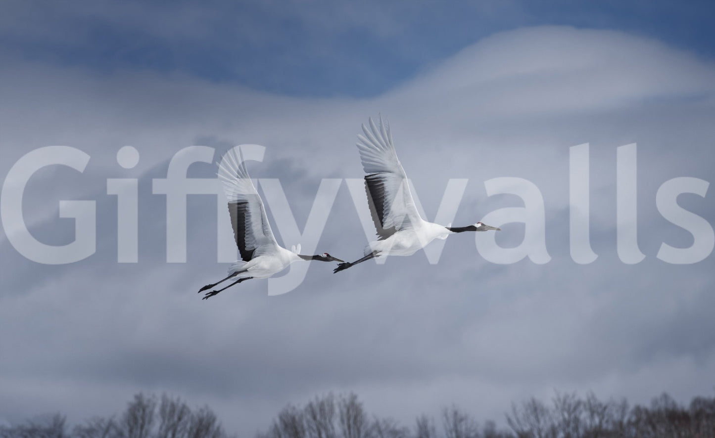 Artistic nature wall mural with cranes for a serene home interior.