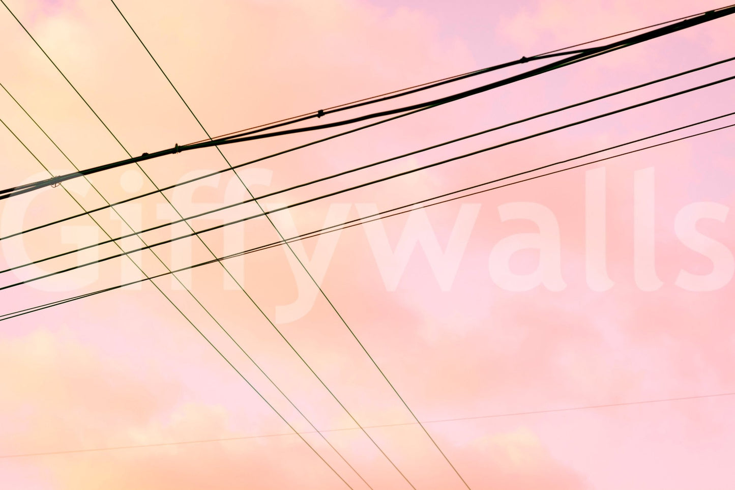 A high-quality minimalist wall mural for walls.