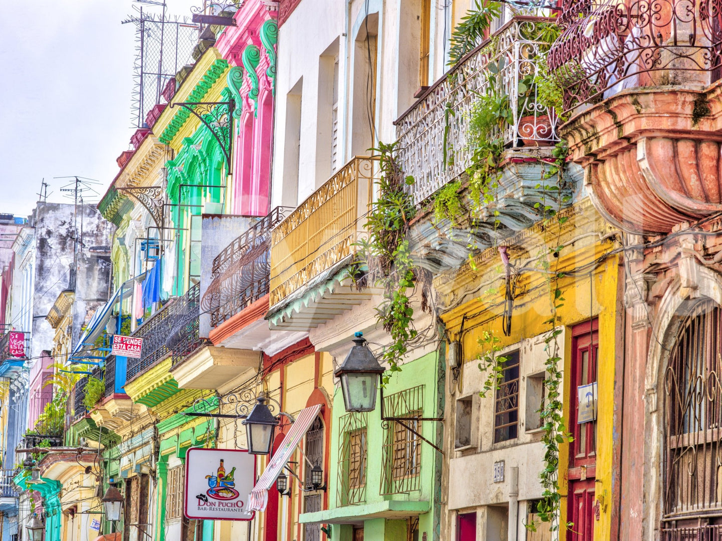 The colors are the central focus of the image.