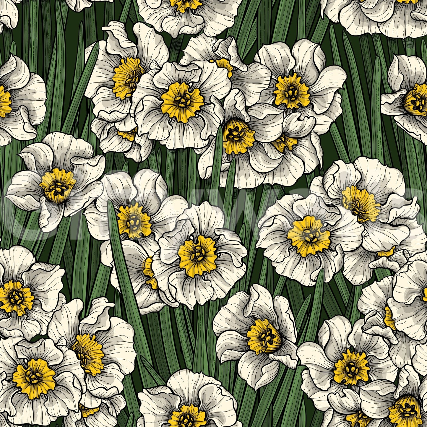 Daffodils WallpaperGD9573
