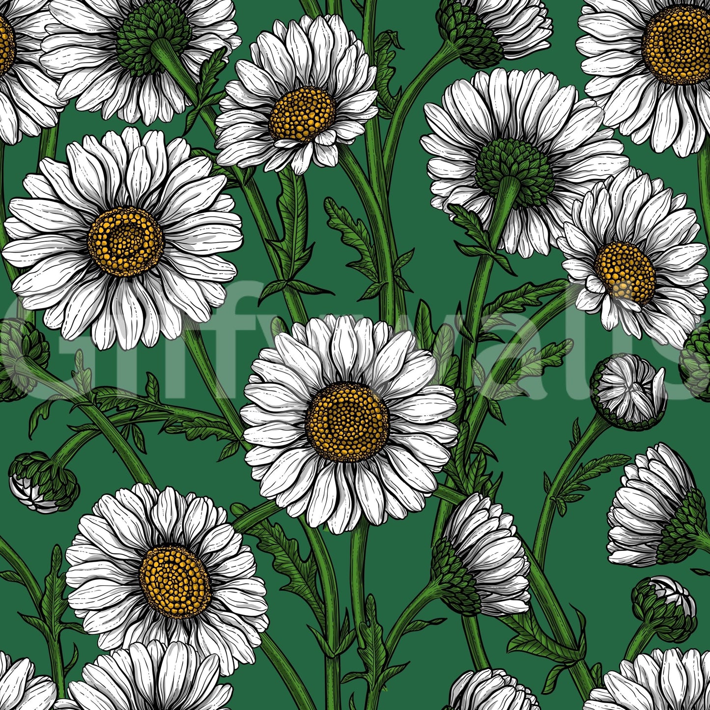 Rounded green bud clusters tuck between flowers in Emerald Daisy wallpaper GD9576