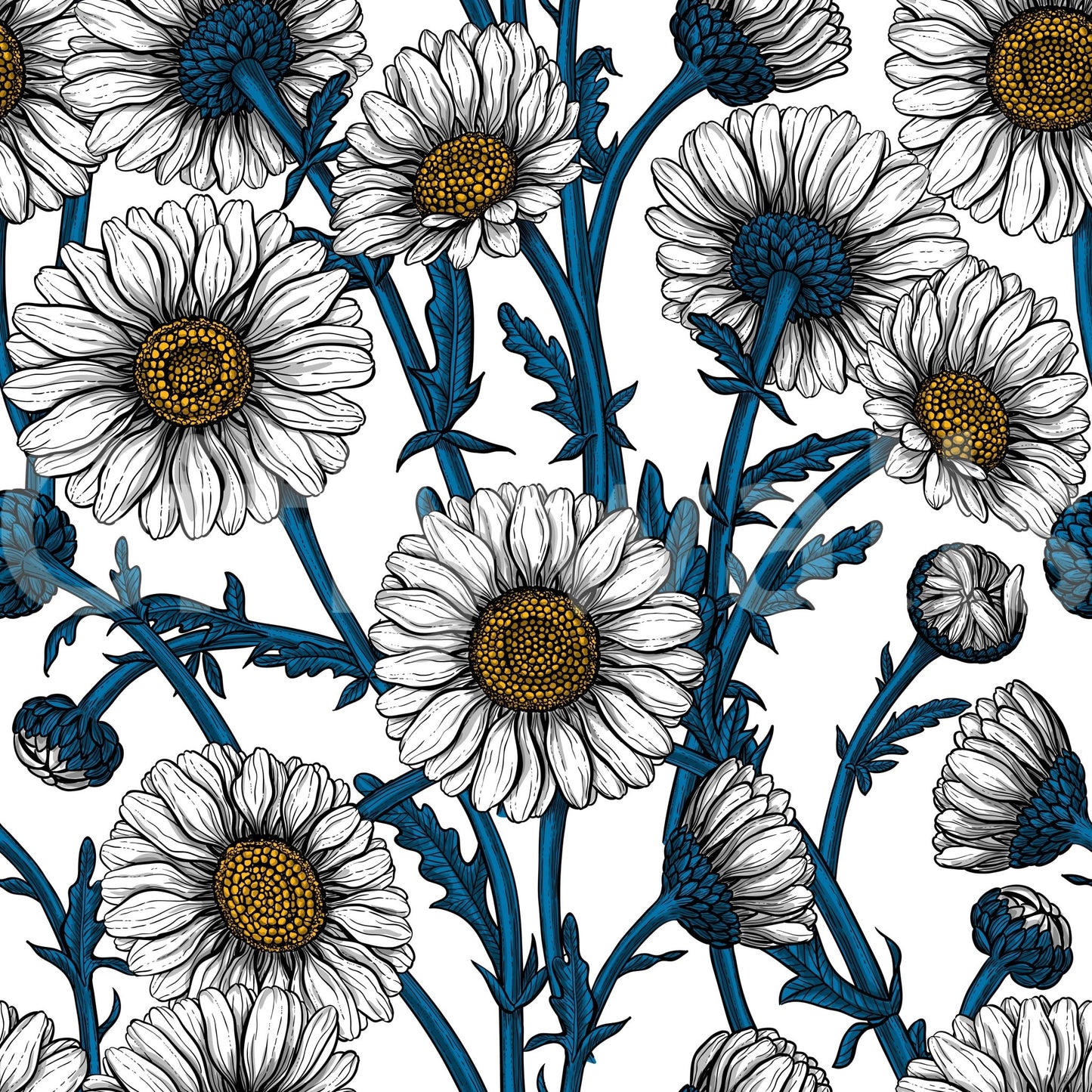 Curling navy leaves weave between flowers in this Daisies wallpaper.GD9578