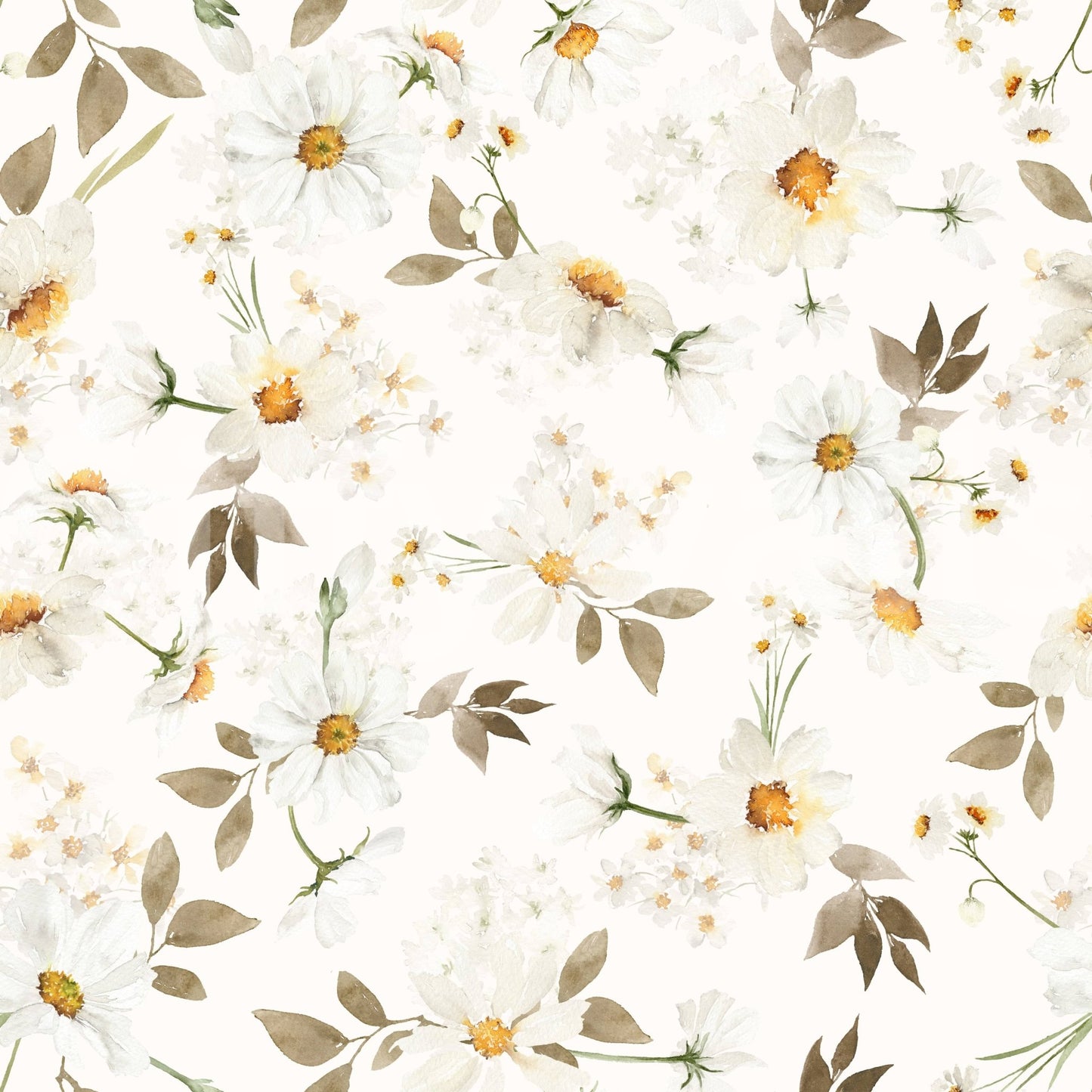White daisy flower Daisy Dream wallpaper light background.