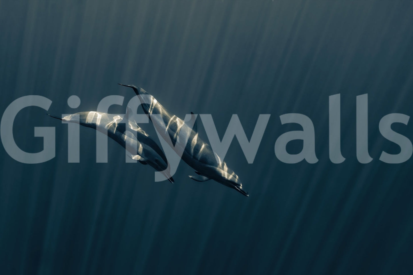 A high-quality serene ocean wall mural for walls.