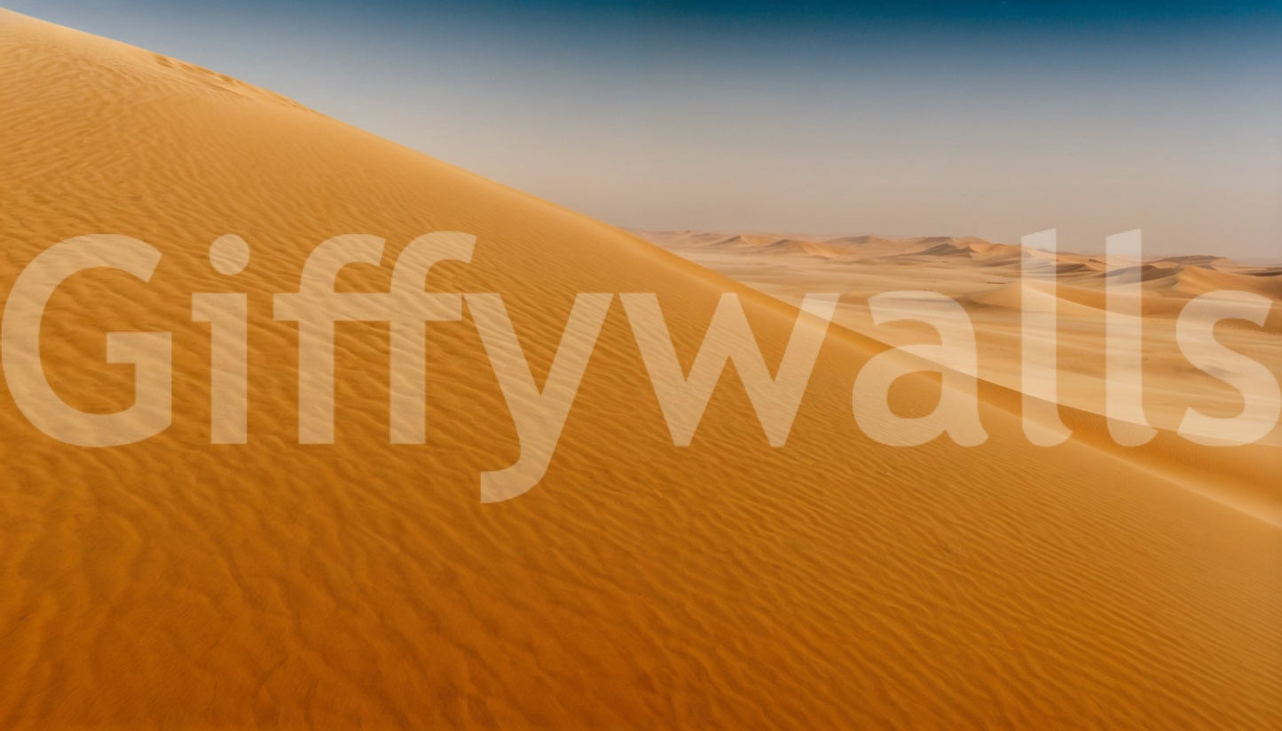 Desert Dune Dreams Wall Mural used as a backdrop in a boutique retail space.