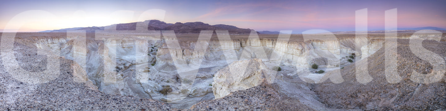 Desert Valley View Wall Mural