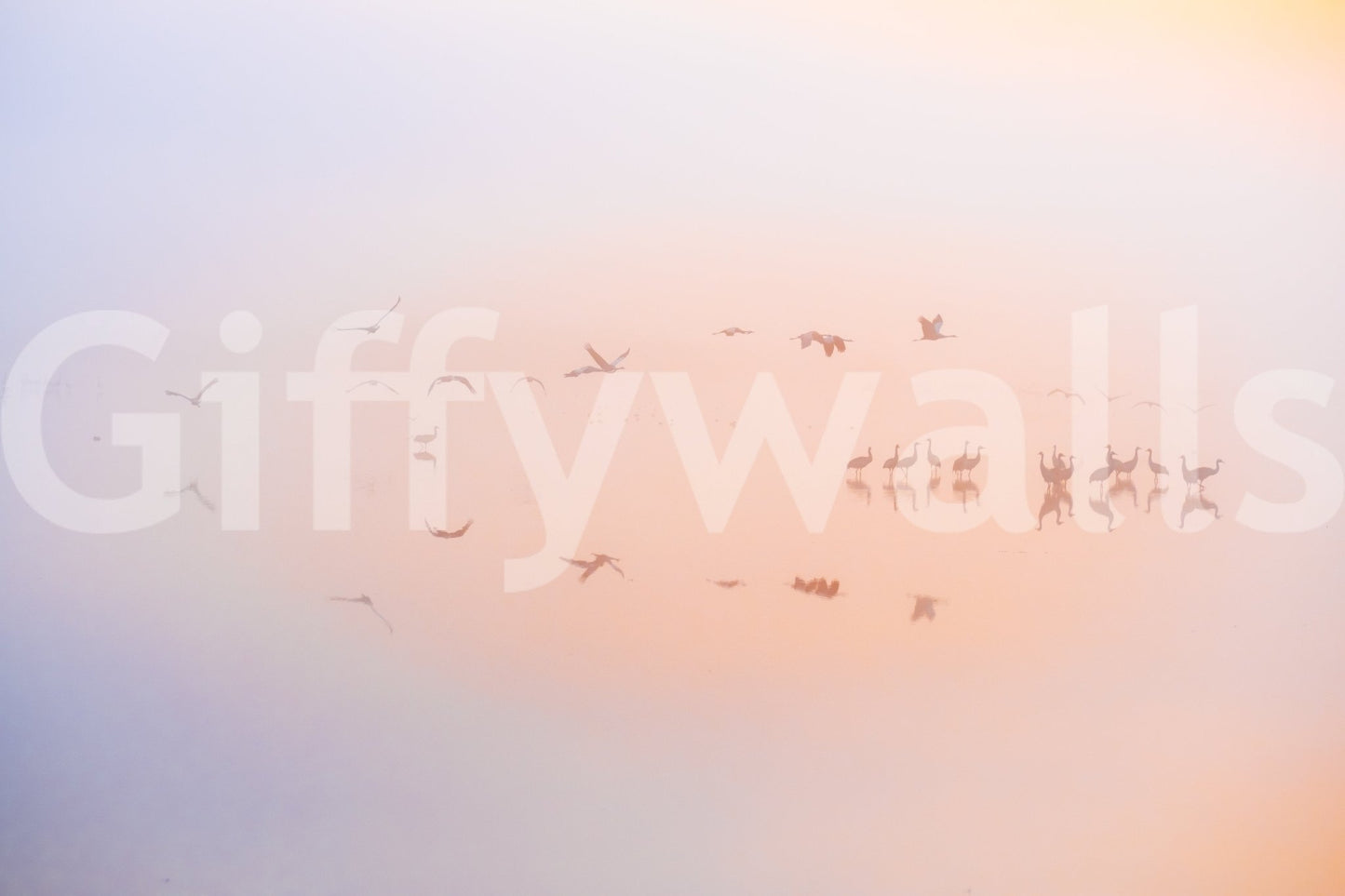 Dreamy natural scenery wallpaper